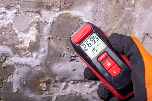 Mold Removal and Inspection in Baxter, TN