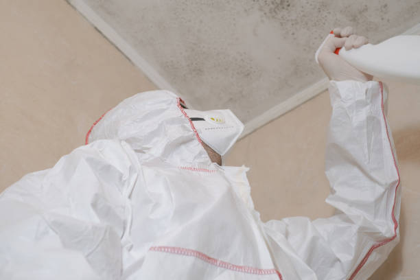 Best Toxic Mold Removal  in Baxter, TN